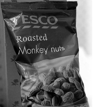 roastedmonkeynuts