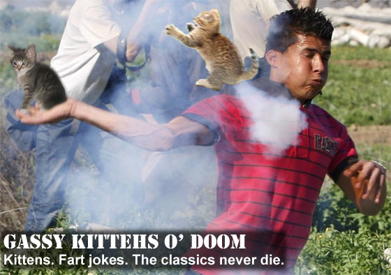 Farty kittens Farty kittens