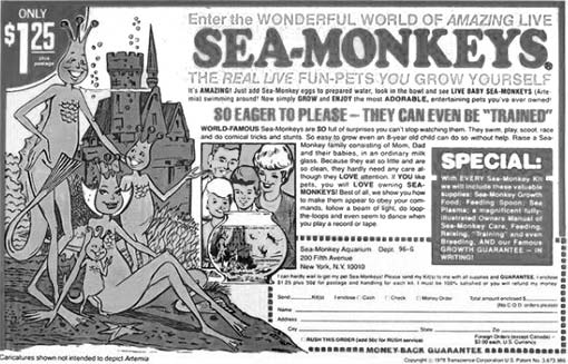 seamonkeys